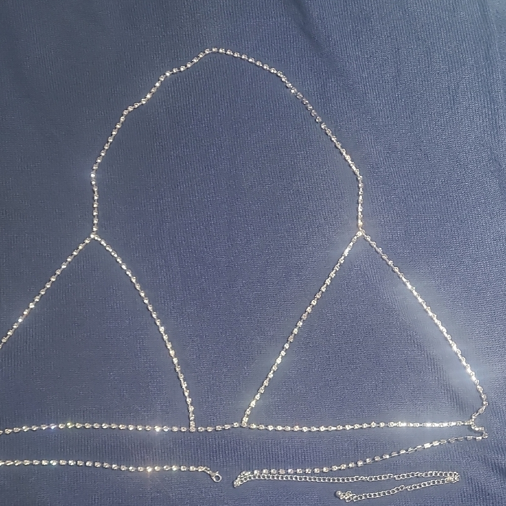 Silver Rhinestone Bikini Top